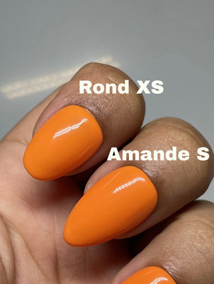 Rond vs Amande : quelles différences ?